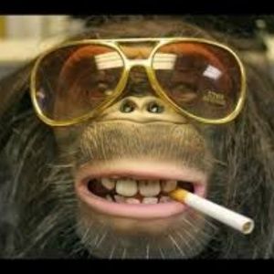 Meet your Posher, Terry